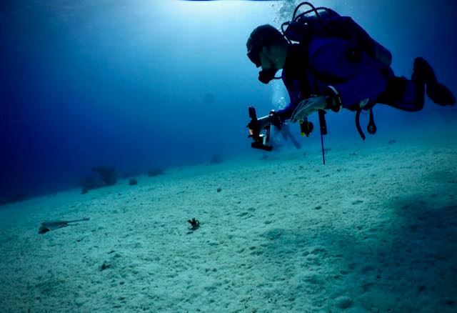 Dykkerrejse - Egypten Marsa Shagra - 18.10.26  til 25.10. 26
