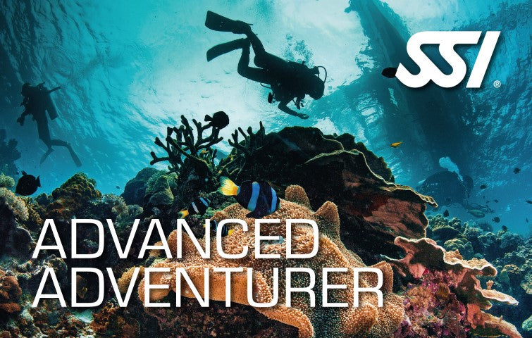 SSI Advance Adventure