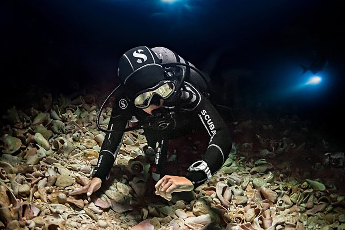 SSI Night Limited Visibility (Privat undervisning)