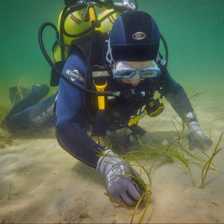 Genopfriskningskurser - Scuba Skill update inkl. udstyr i Aarhus