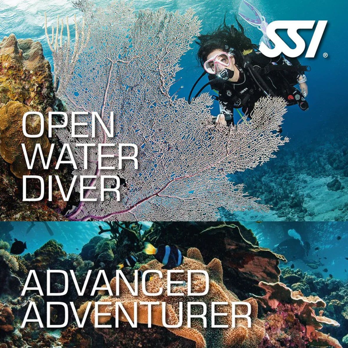 SSI Open Water Diver + SSI Advance Adventure