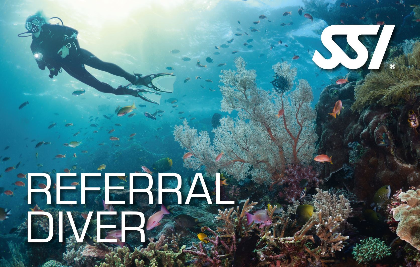 SSI Referral