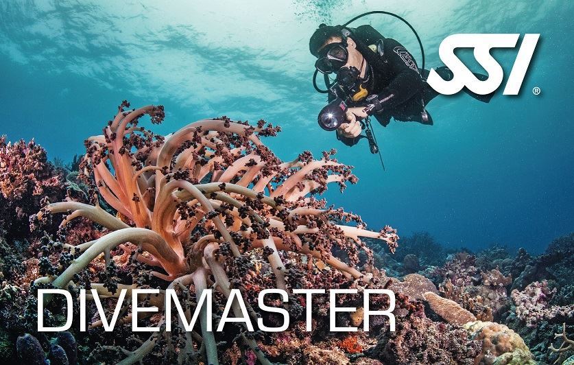 SSI Divemaster (Privat undervisning)