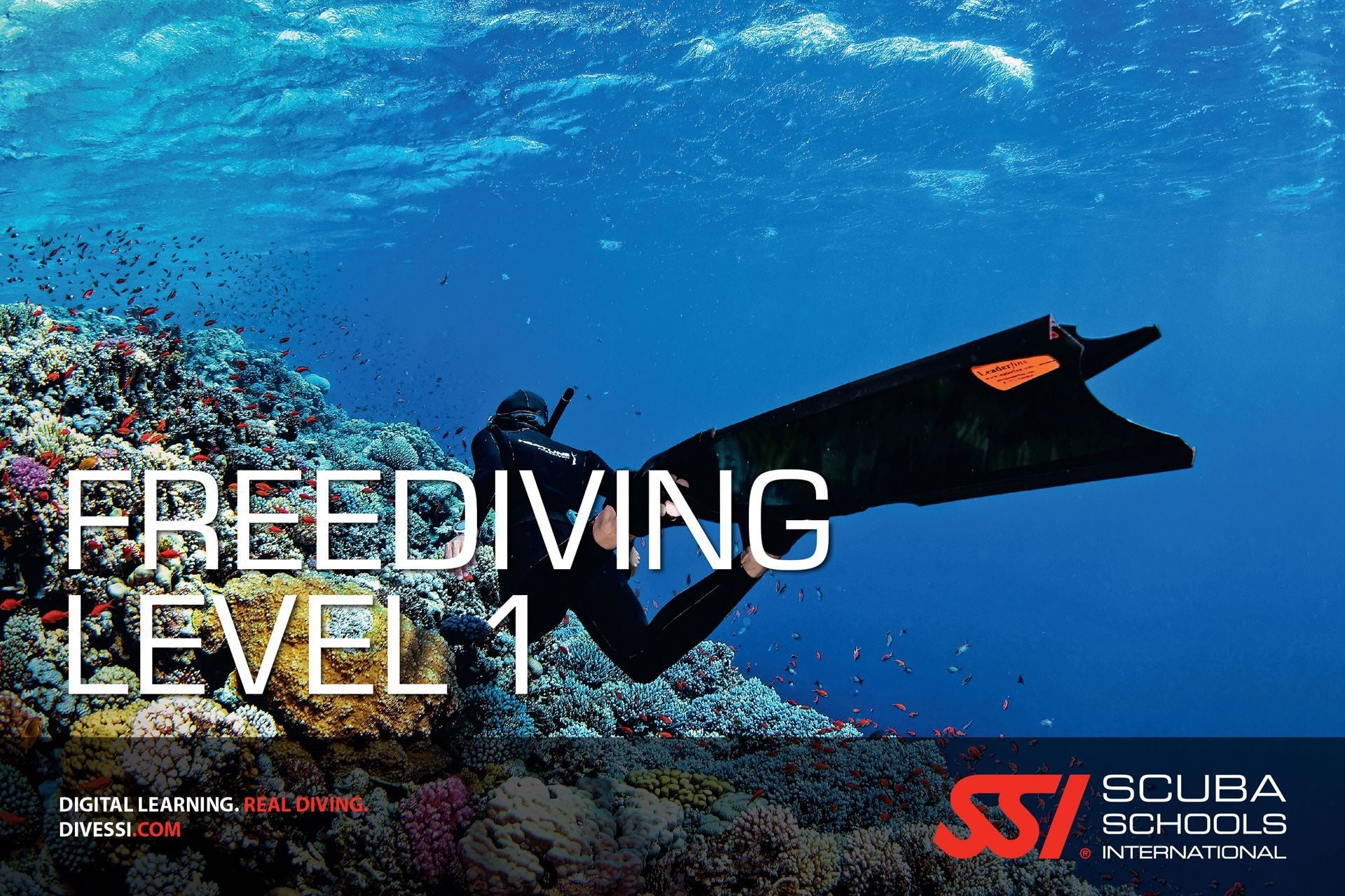 SSI Level 1 Fridykkerkursus  ( privat undervisning )